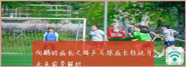 向鹏的成长之路乒乓球成长轨迹与未来前景解析