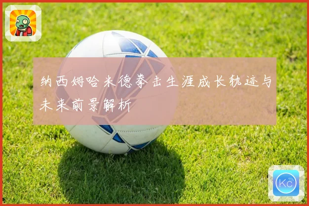 纳西姆哈米德拳击生涯成长轨迹与未来前景解析