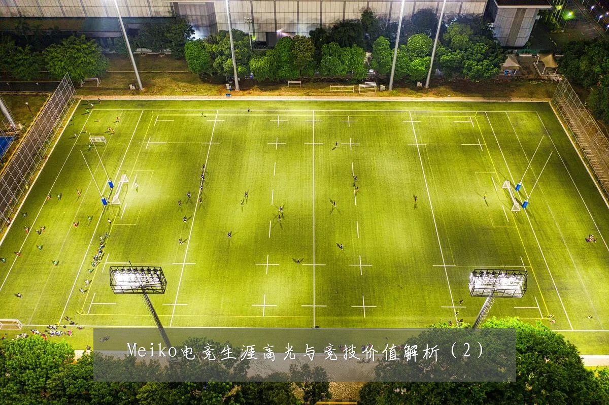 Meiko电竞生涯高光与竞技价值解析(2)