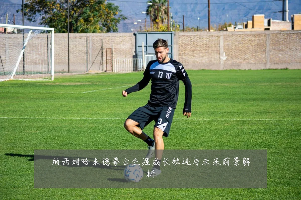 纳西姆哈米德拳击生涯成长轨迹与未来前景解析