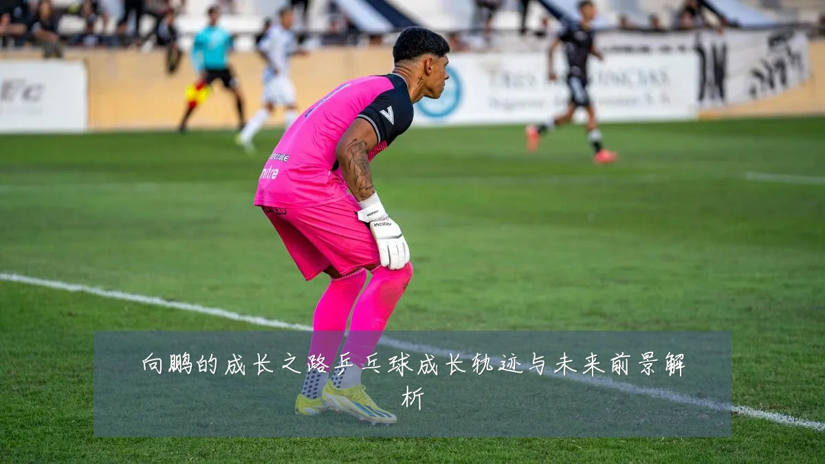 向鹏的成长之路乒乓球成长轨迹与未来前景解析