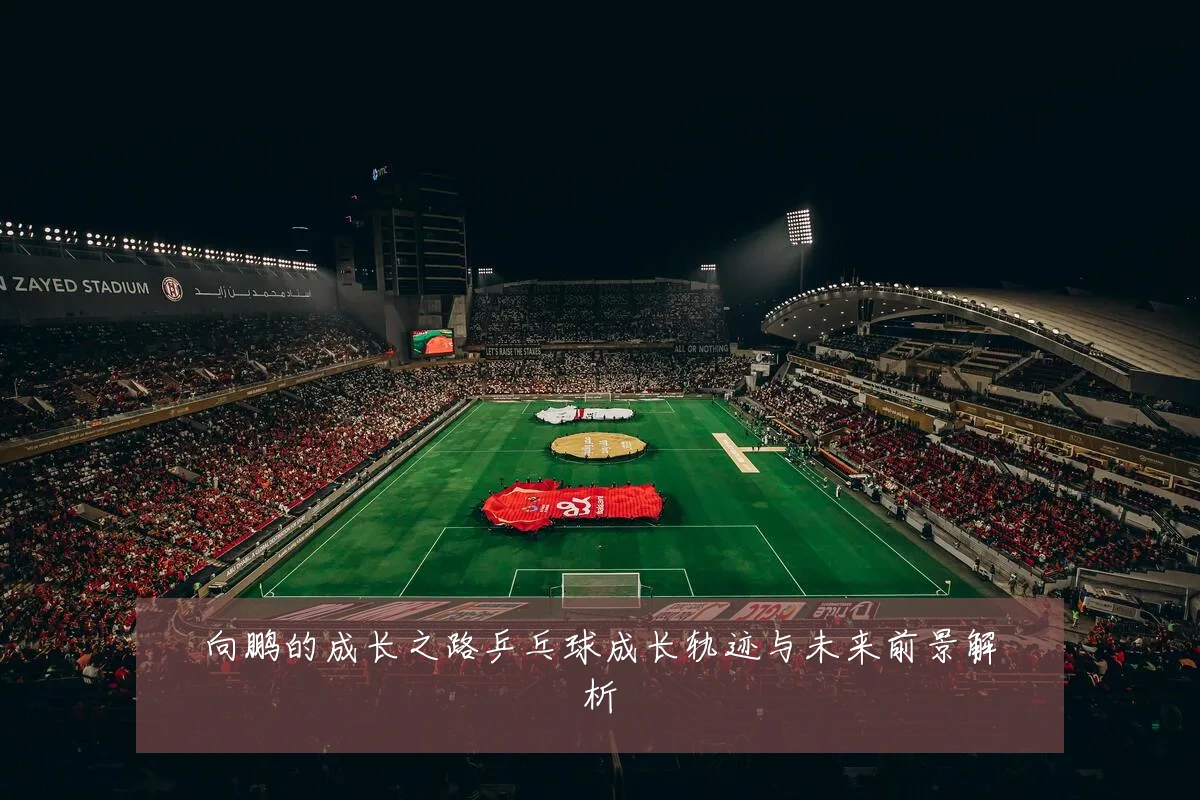 向鹏的成长之路乒乓球成长轨迹与未来前景解析
