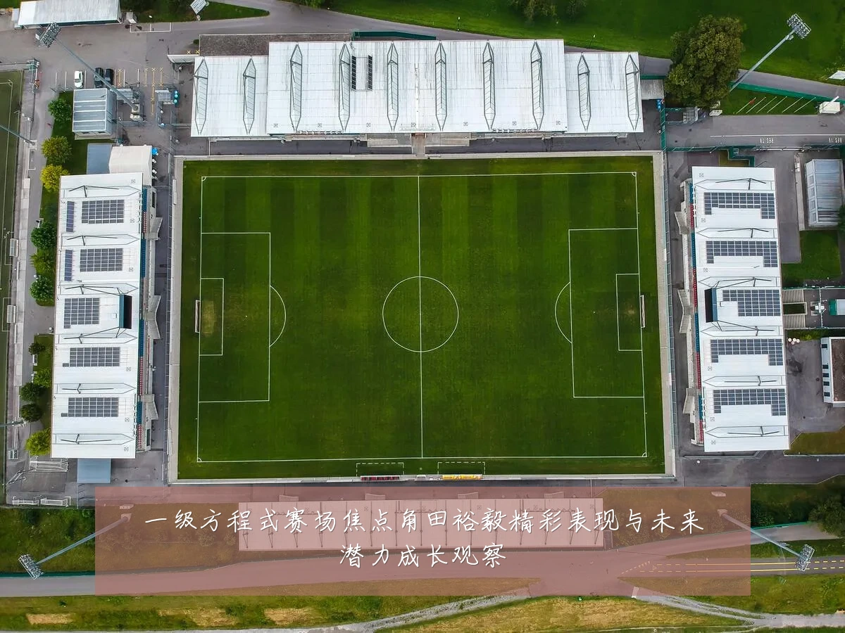 一级方程式赛场焦点角田裕毅精彩表现与未来潜力成长观察